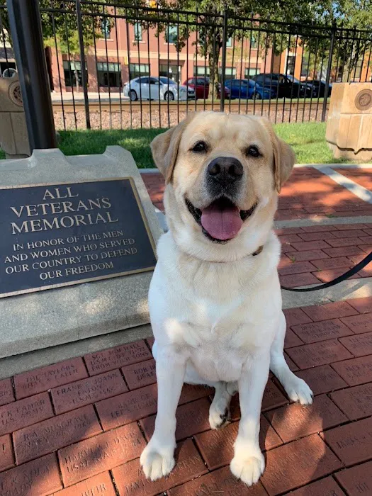 Integrity Roofing Siding Gutters & Windows Picture 9