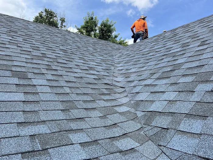 Green Factor Roofing Picture 2