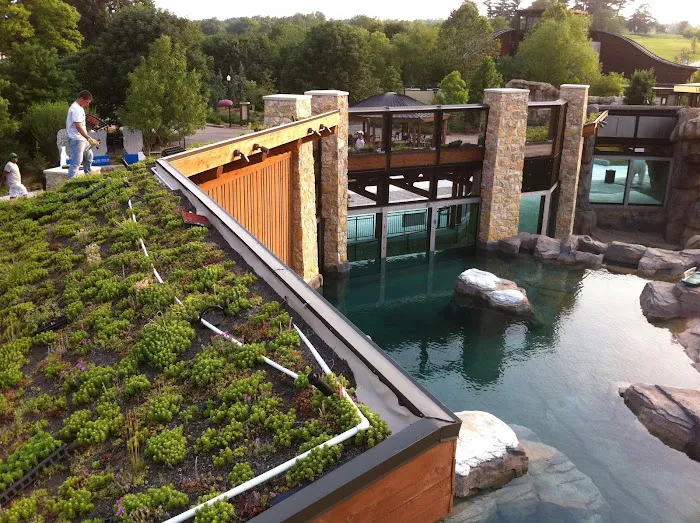 Diversified Construction & Roofing Picture 10