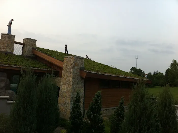 Diversified Construction & Roofing Picture 8