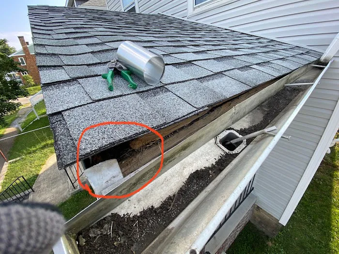 Mighty Dog Roofing of Kansas City Picture 4