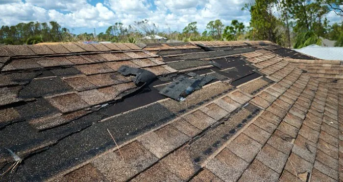 Mighty Dog Roofing of Kansas City Picture 3