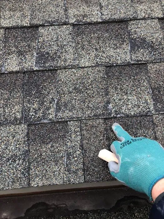 LoveOurRoof, an Xcel Company Lic#DR 2020-9778 Picture 6