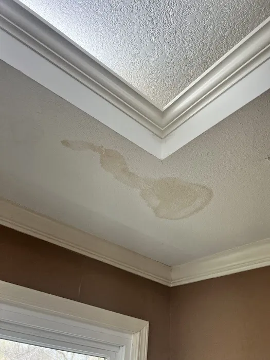 Pro Roofing and restoration LLC Picture 2