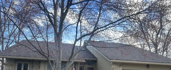 M & M Roofing Co. Inc Picture 5