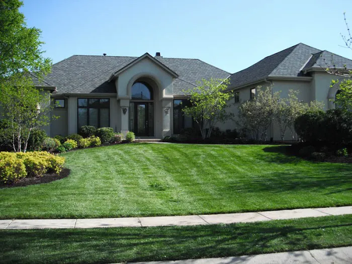 M & M Roofing Co. Inc Picture 9