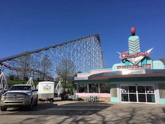 Eco Green Roof Coatings Picture 6