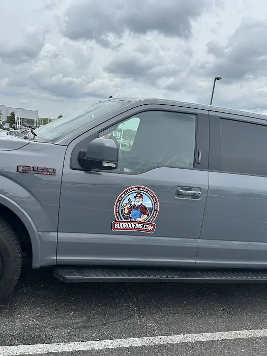 Bud Roofing Picture 5