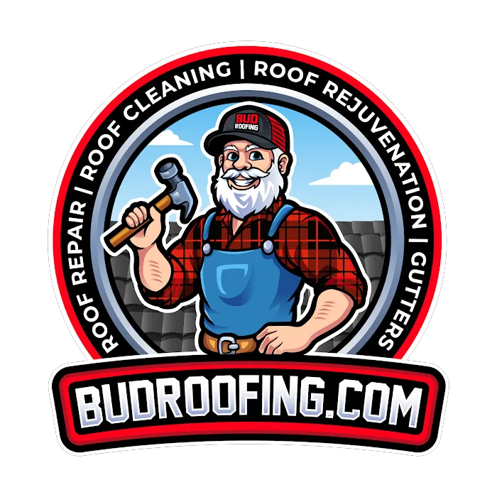 Bud Roofing Picture 6