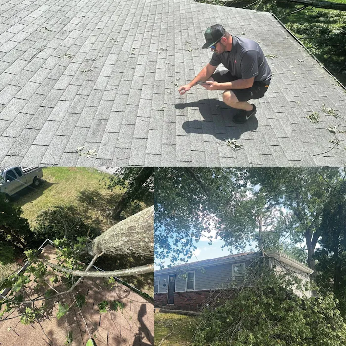 Apple Roofing Picture 10