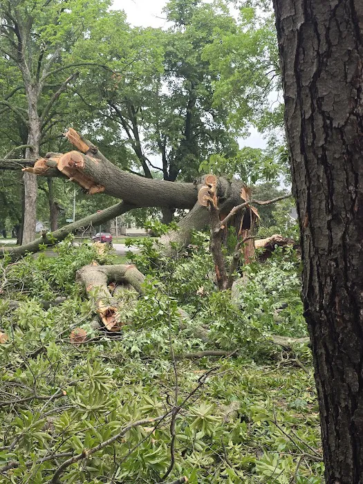 Apples Construction and Roofing LLC Picture 9