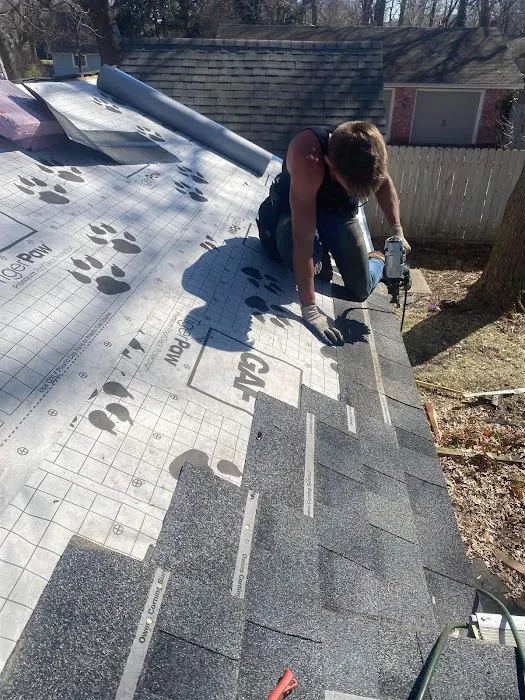 proteam roofing and repair Picture 5