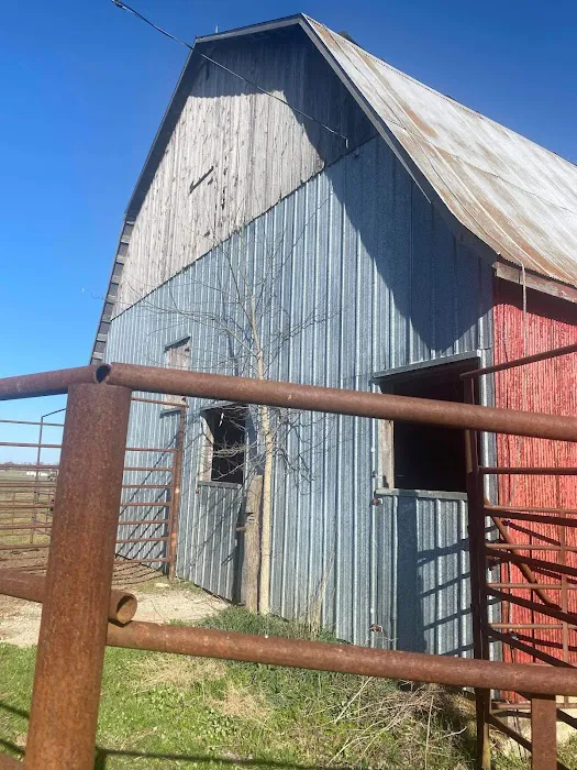 proteam roofing and repair Picture 2