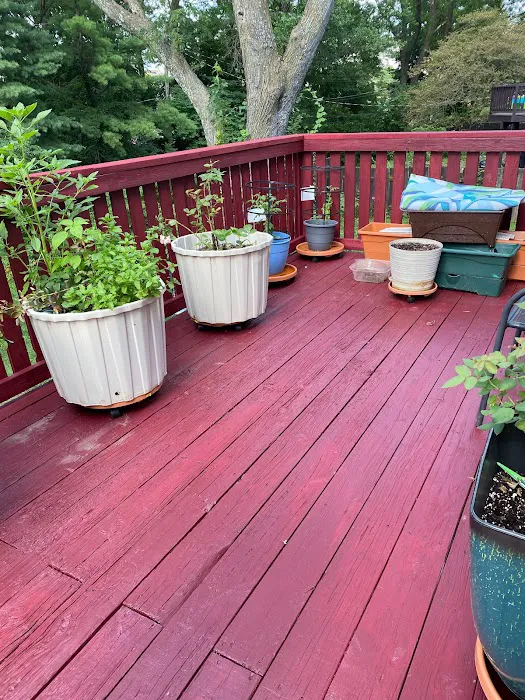 proteam roofing and repair Picture 10