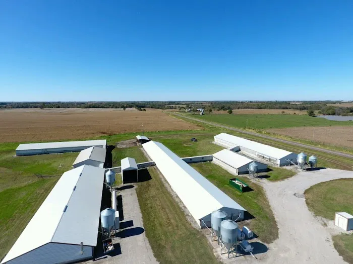 Merv's Roofing Picture 2