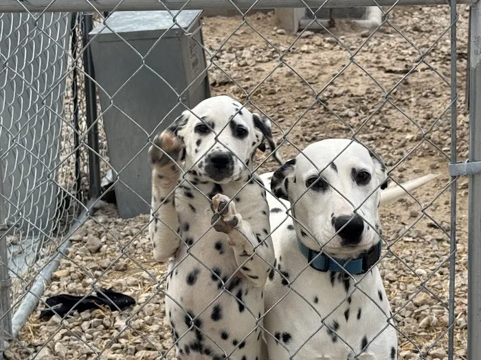 Black & White Roofing Picture 1