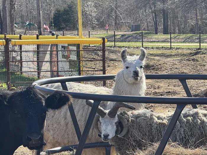 Black & White Roofing Picture 10