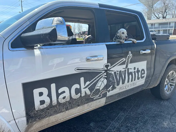 Black & White Roofing Picture 6