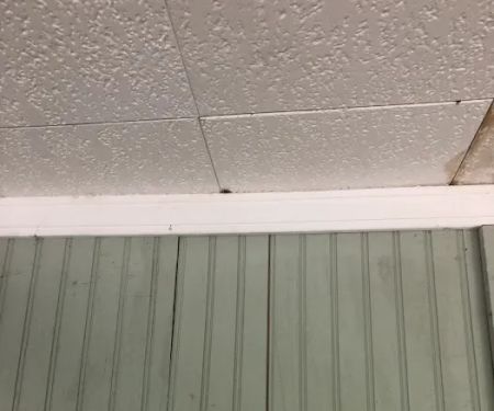 Elite Roofing & Siding