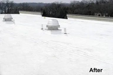 Elite Roofing & Siding Picture 6