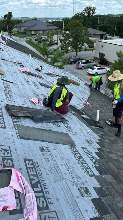 Skinner Roofing Ozark Picture 1