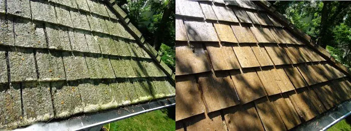 Outdoor Restore Picture 5