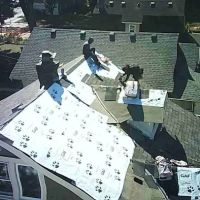 MN ROOFING & REMODELING ico