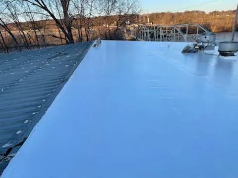 Four Seasons Energy Efficient Roofing, Inc. Picture 6