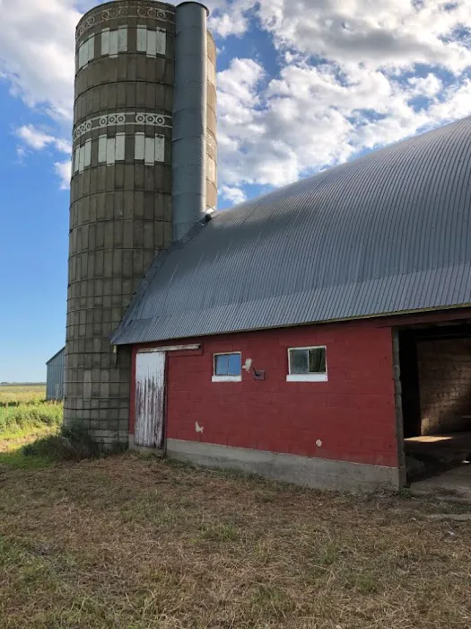 North End Contracting Picture 7