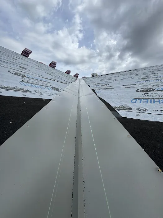 ReDesign Exteriors Picture 6