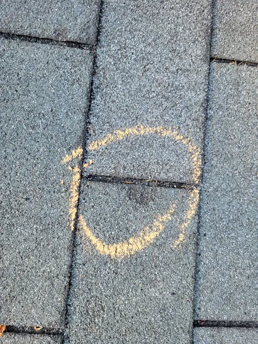 Hail Experts Inc. Picture 8