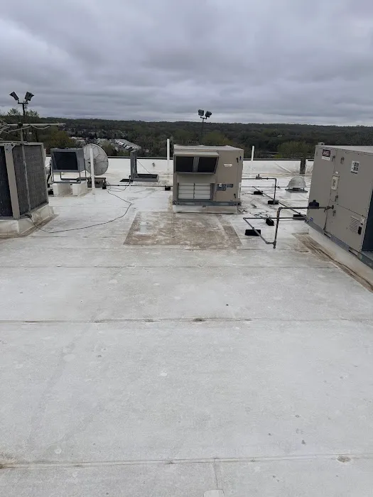 Cesar Chino LLC Picture 2