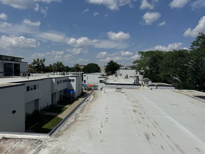 Cesar Chino LLC Picture 5