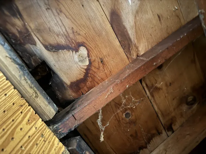 Cesar Chino LLC Picture 7