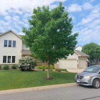 Verde Restorations ico