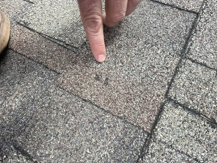 Shelter Construction, LLC Picture 8