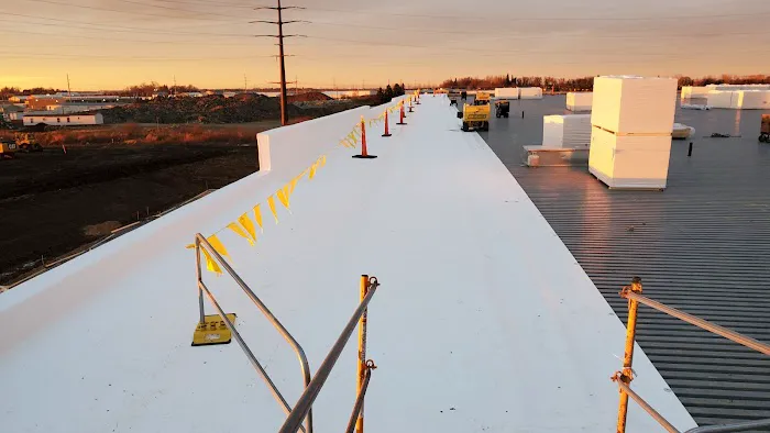 BL Dalsin Roofing Picture 6