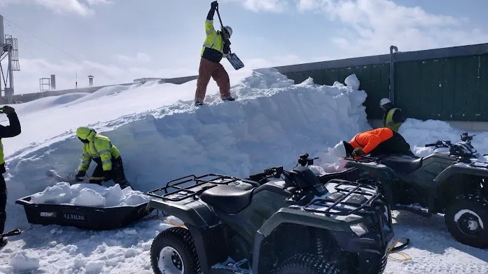 BL Dalsin Roofing Picture 4