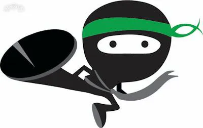 Roof Ninja Services Picture 1