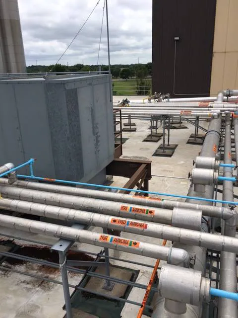 Allweather Roof Picture 4