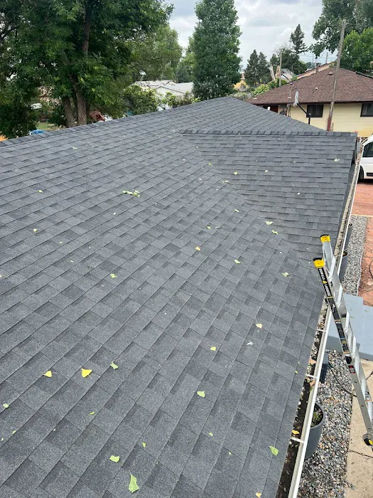 Precision Exteriors Restoration Picture 10