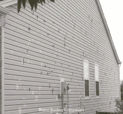 Arko Exteriors Picture 2