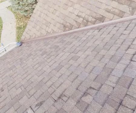 Amigo Roofing
