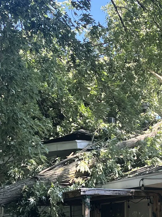 Custom One Exteriors Picture 7