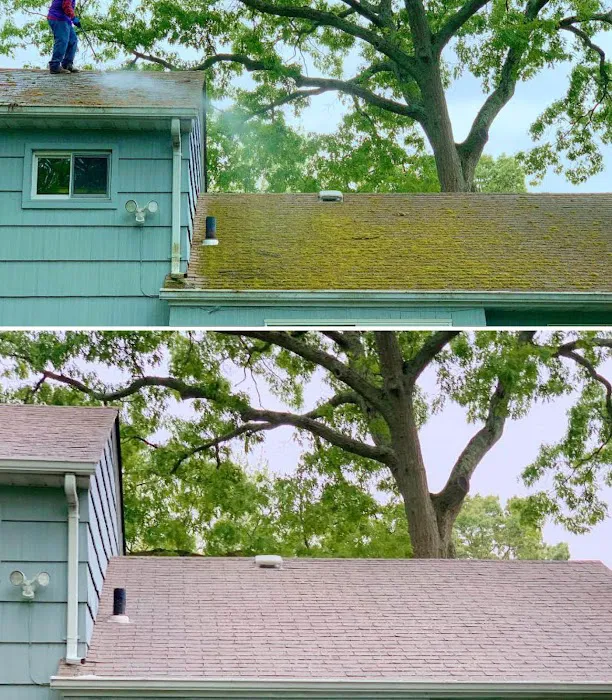 Harry Gorman Picture 6