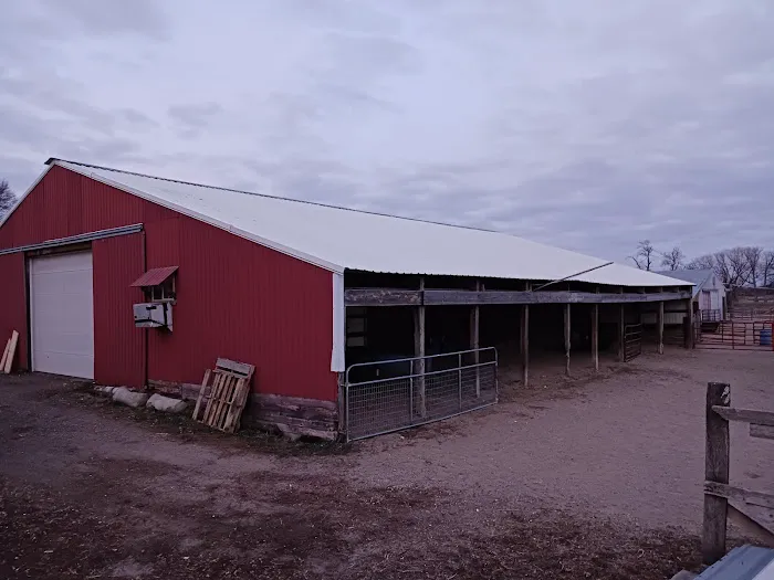 AllSteel Construction llc Picture 1