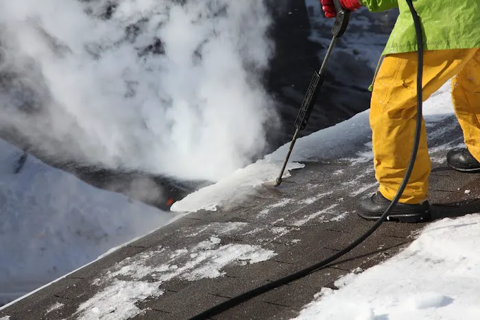 Ice Dam Company Picture 3