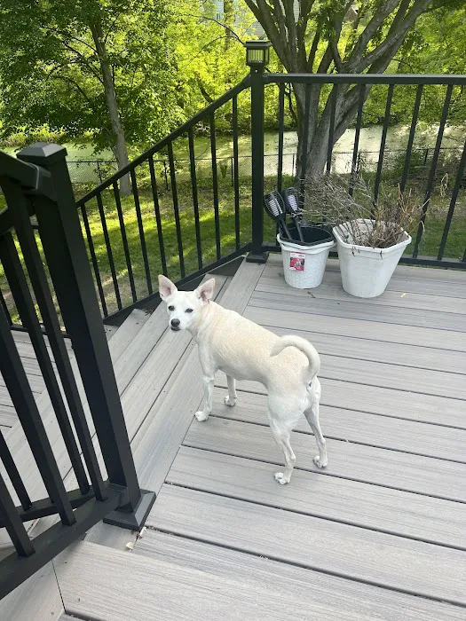 We Fix Everything - Roofing and Deck Services Picture 3