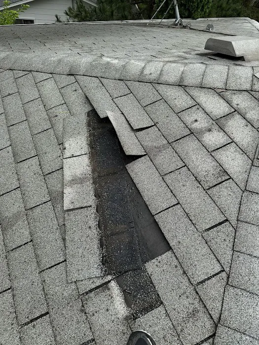 Bruggeman Exteriors Picture 10