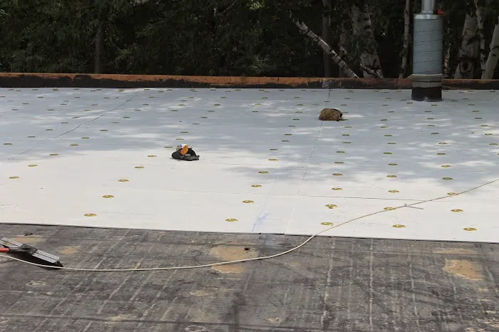 Rayco Construction Picture 1